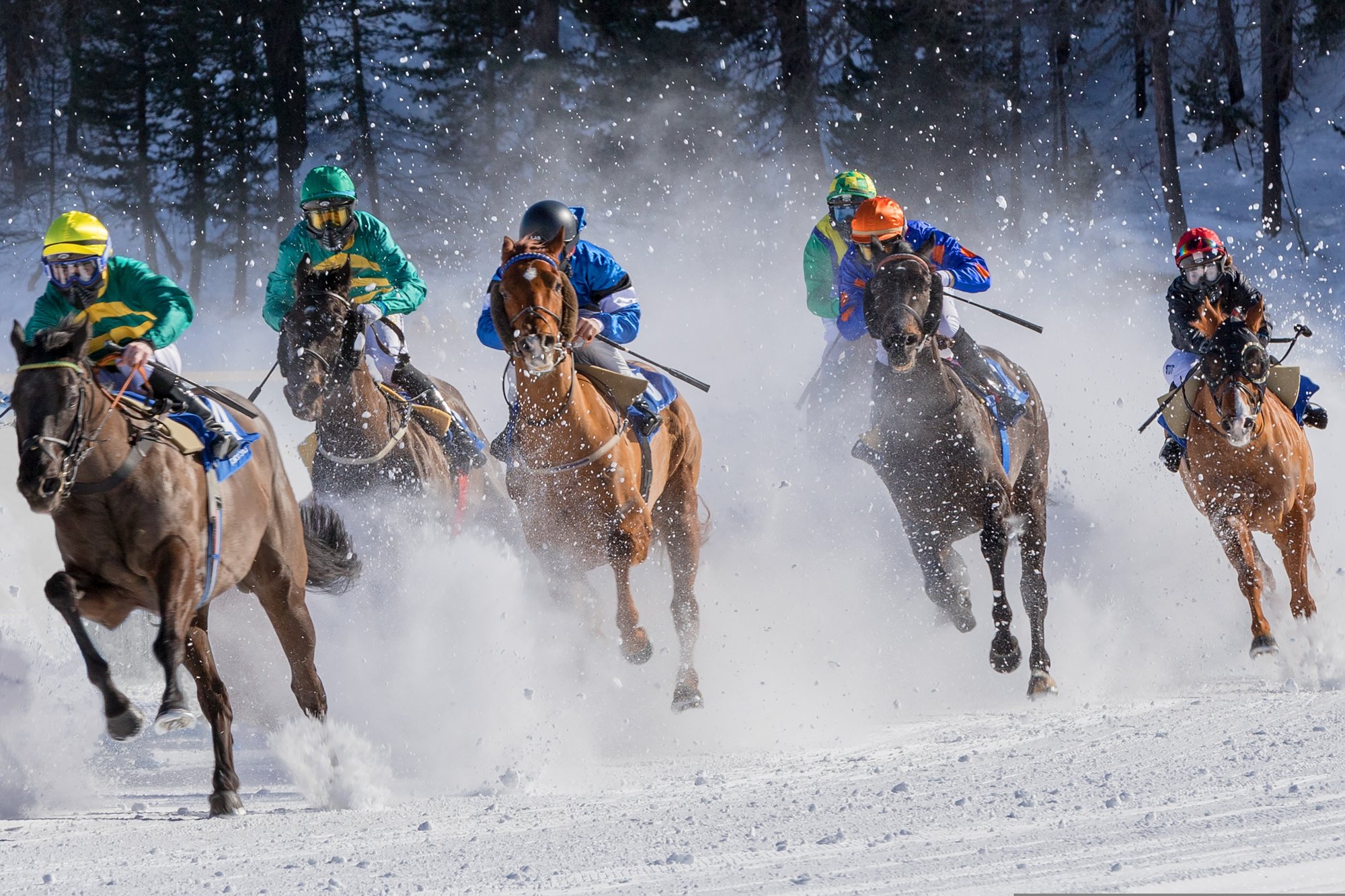 White Turf St. Moritz: Pferderennen auf dem gefrorenen See